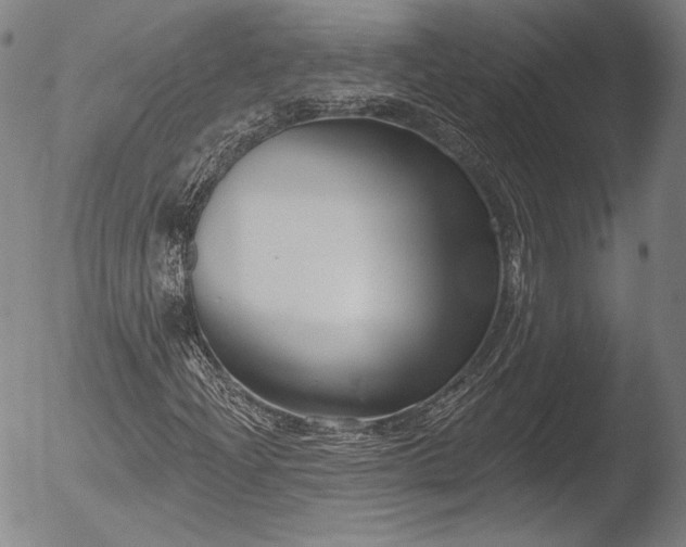 X0000052541204200507081322
