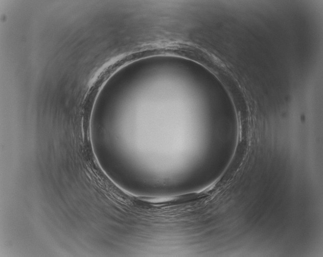 X0000052541214200507081322