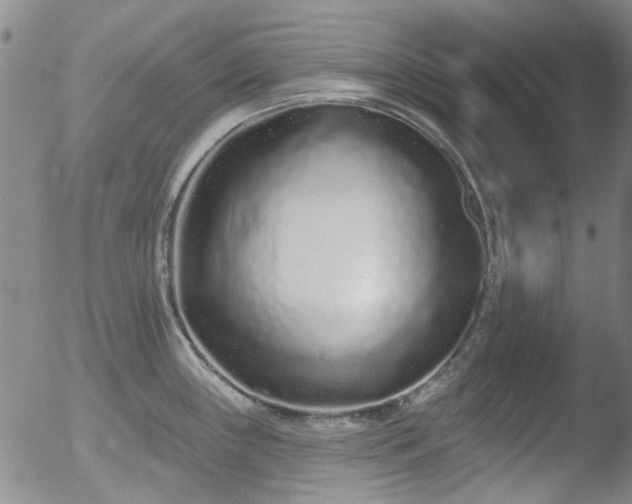 X0000052541243200507081322