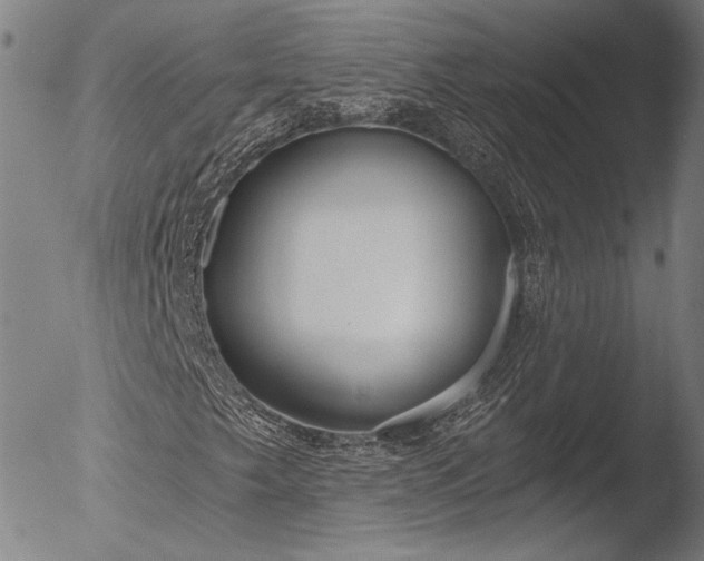 X0000052541249200507081322