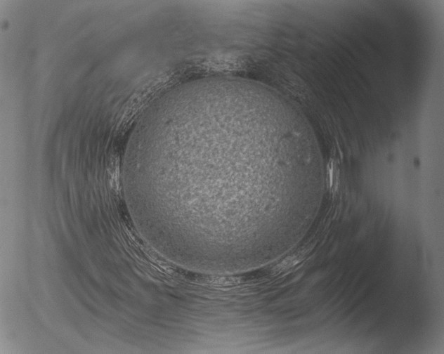X0000052541251200507081322