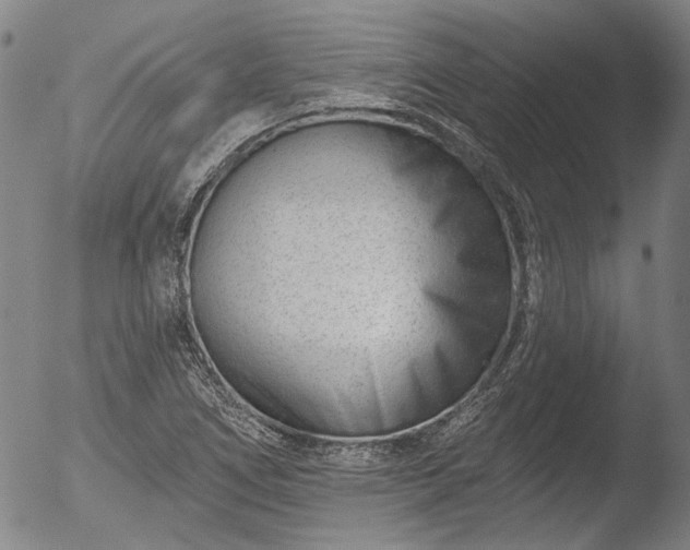 X0000052541266200507081321