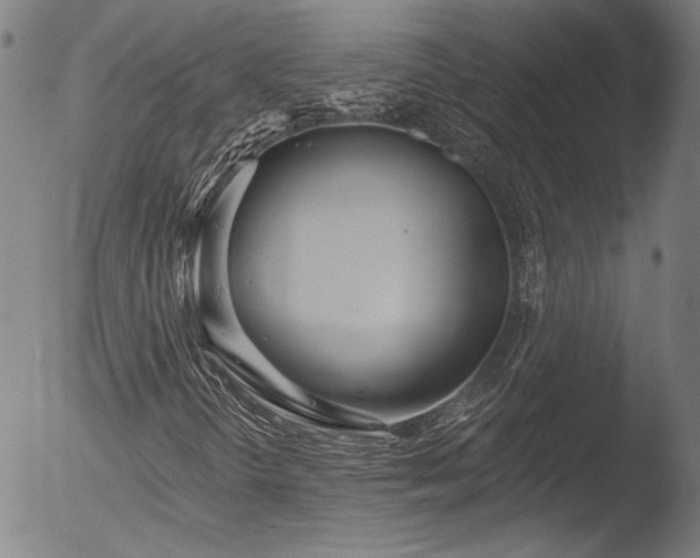 X0000052541298200507081320
