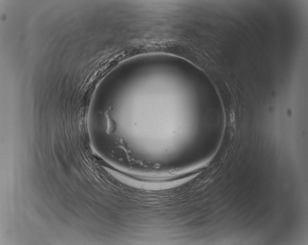 X0000052541300200507081320
