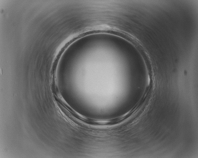 X0000052541326200507081320