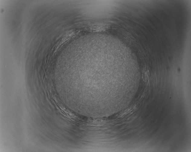 X0000052541393200507081318