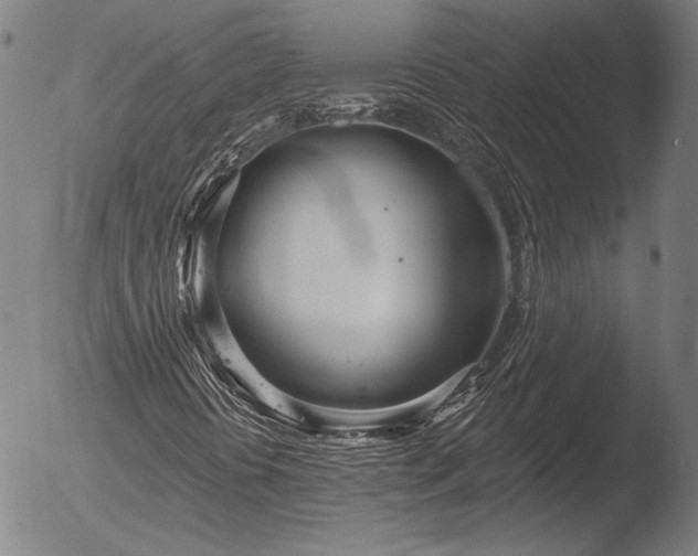 X0000052541394200507081318