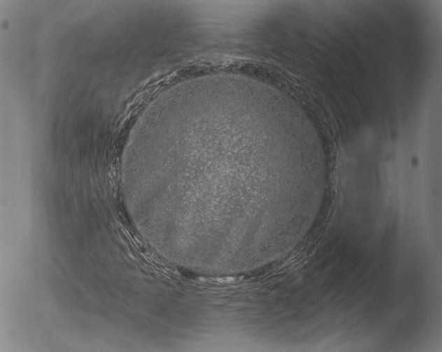 X0000052541397200507081318