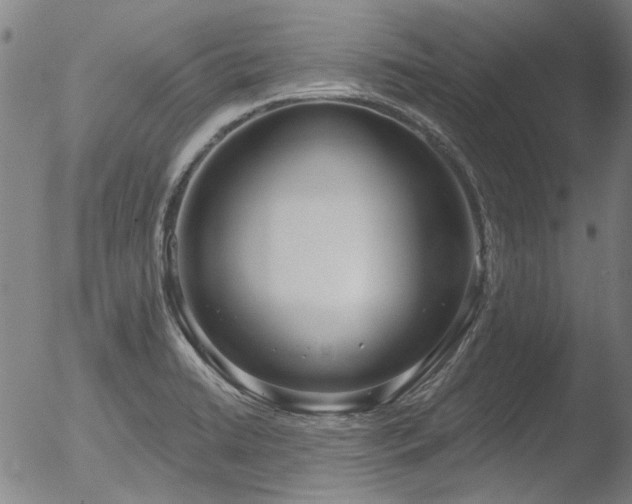 X0000052541422200507081319