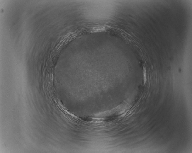 X0000052541441200507081318