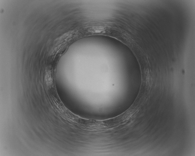 X0000052541442200507081318