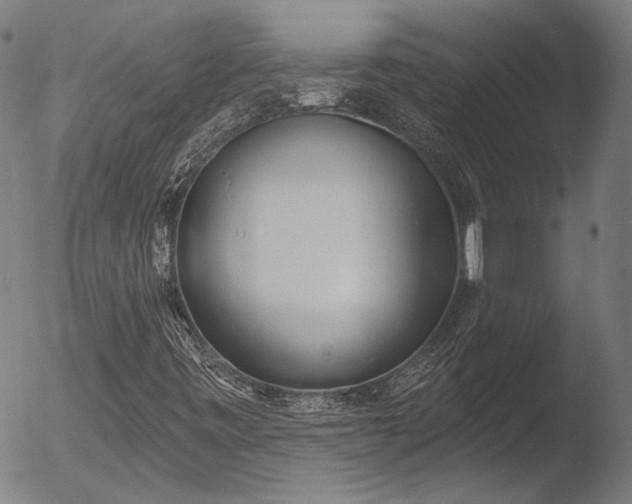 X0000052541443200507081318