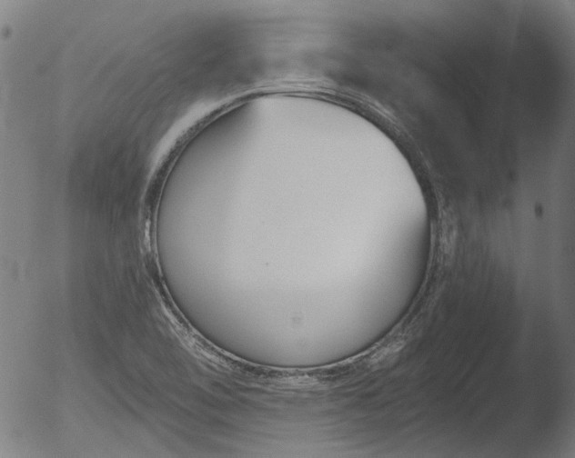 X0000052541462200507081318