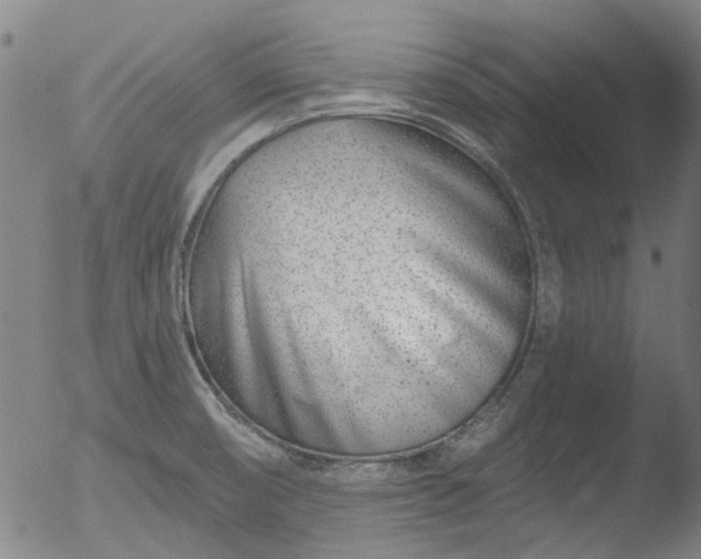 X0000052541474200507081318