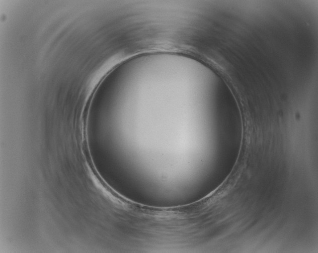 X0000052541479200507081318