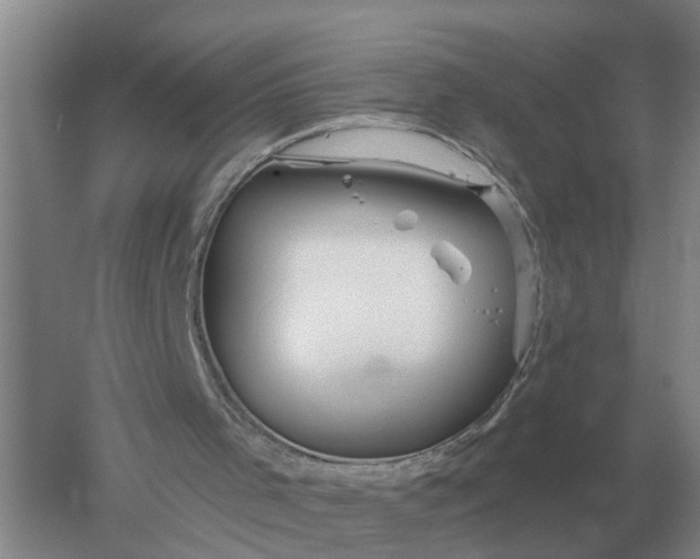 X0000052540001200507152145