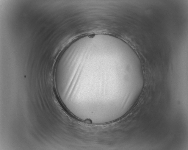 X0000052540002200507152145