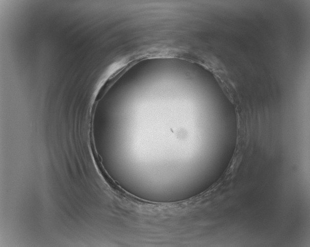 X0000052540003200507152145