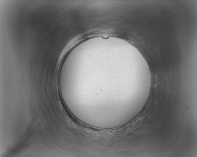 X0000052540004200507152145