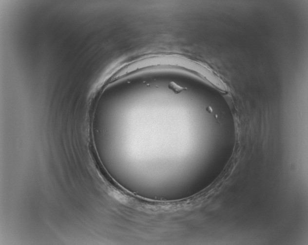 X0000052540005200507152145