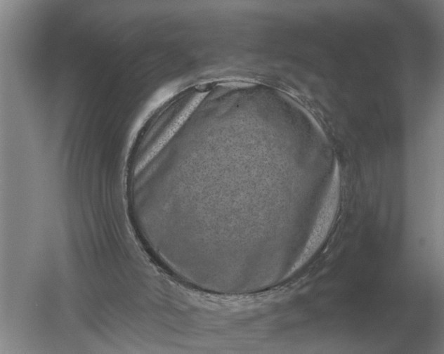 X0000052540006200507152145