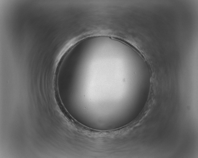 X0000052540007200507152145