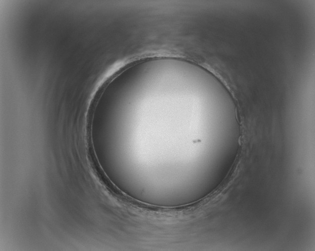 X0000052540008200507152145