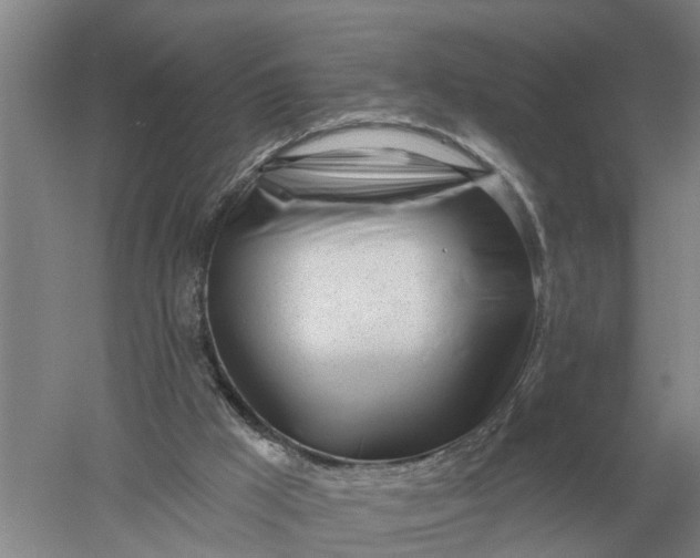 X0000052540009200507152145