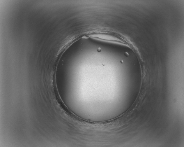 X0000052540010200507152145