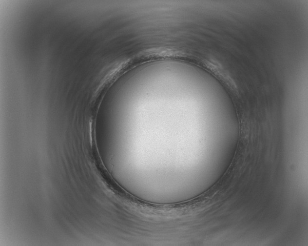 X0000052540014200507152145