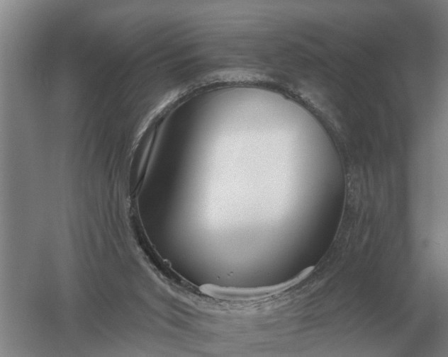 X0000052540015200507152145