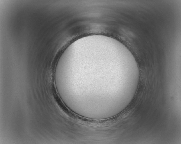 X0000052540016200507152145