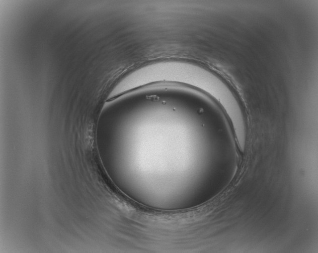 X0000052540017200507152145