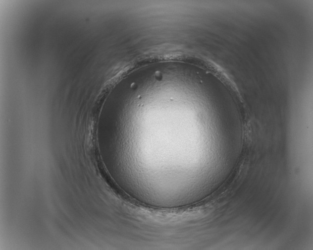 X0000052540018200507152145