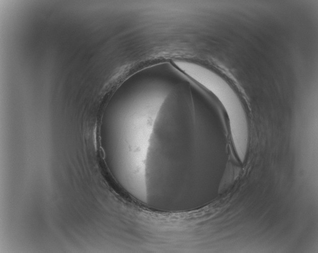 X0000052540019200507152145