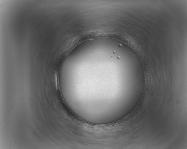 X0000052540022200507152144