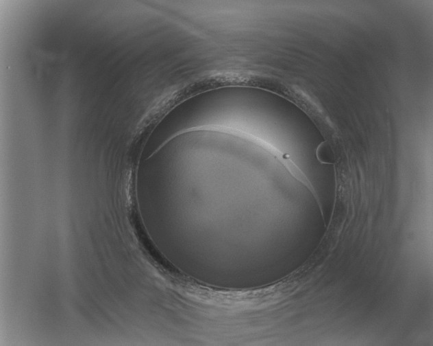 X0000052540023200507152144