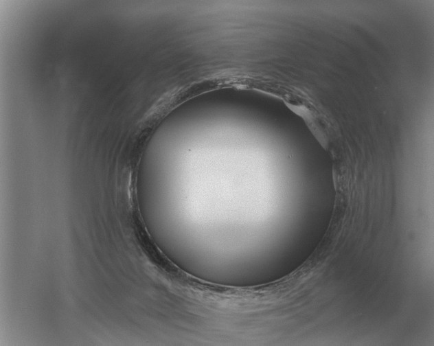 X0000052540024200507152144