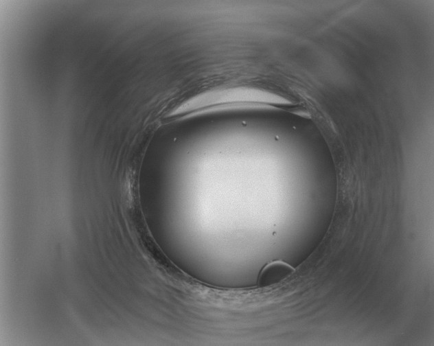 X0000052540026200507152144