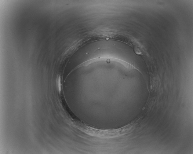 X0000052540027200507152144