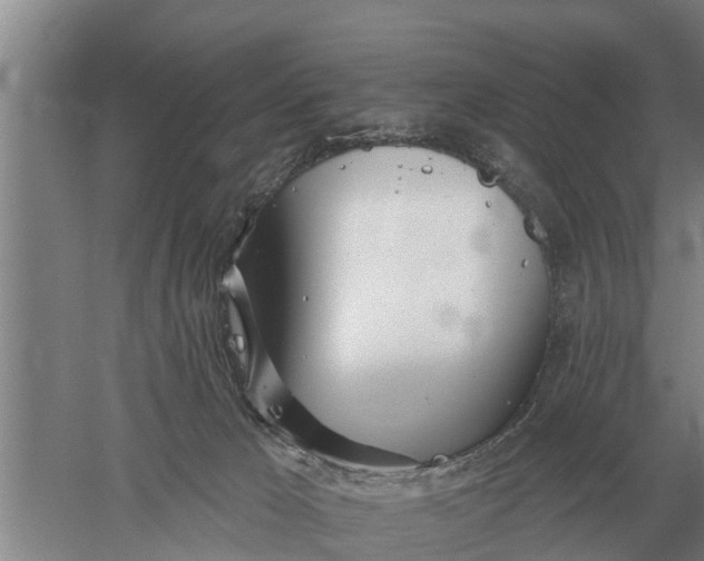 X0000052540029200507152144