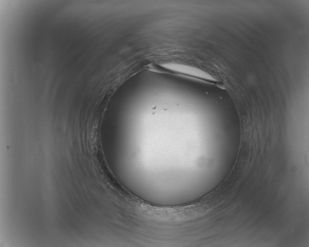 X0000052540030200507152144