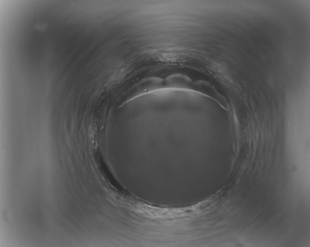 X0000052540031200507152144