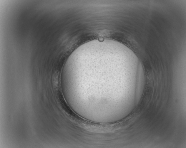 X0000052540032200507152144