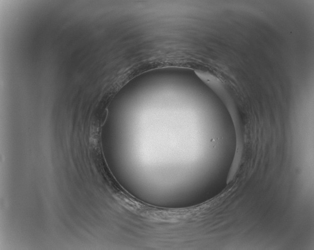 X0000052540033200507152144