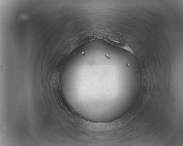 X0000052540034200507152144