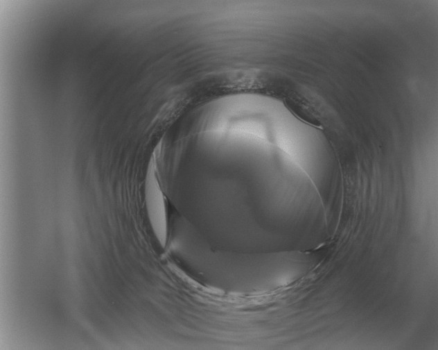 X0000052540035200507152144