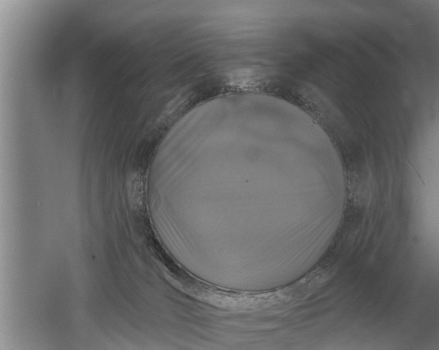 X0000052540036200507152144