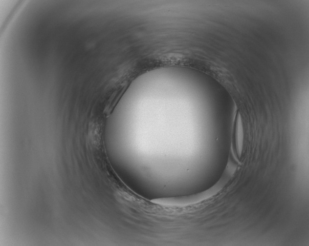 X0000052540037200507152144