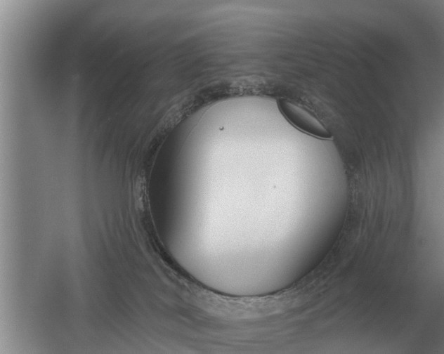 X0000052540038200507152144